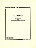 Jungle 