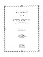5 Pieces 