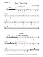 Erste Plöner Musik 