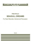 Seagull Dreams 