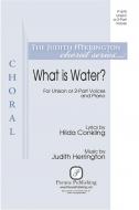 What Is Water? Standard
