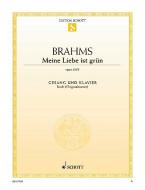 Meine Liebe ist grün op. 63/5 Standard