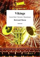 Vikings Standard