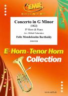 Concerto in G Minor Standard