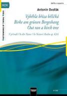 Vybehla bríza belická - Birke am 