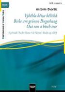 Vybehla bríza belická - Birke am 