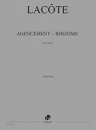 Agencement - Rhizome 