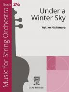 Under a Winter Sky 