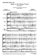Deep In The Shady Forest 