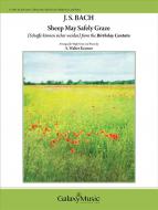 Sheep May Safely Graze 