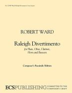 Raleigh Divertimento 