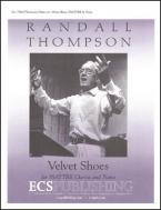 Velvet Shoes 