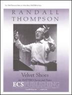 Velvet Shoes 