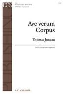 Ave verum Corpus 