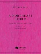 A Northeast Storm 