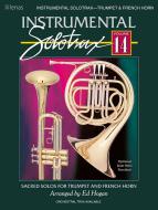 Instrumental Solotrax, Vol. 14 