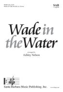 Wade In The Water 