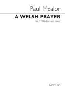 A Welsh Prayer 