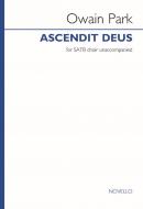 Ascendit Deus 
