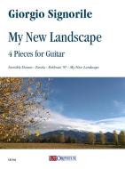 My New Landscape 
