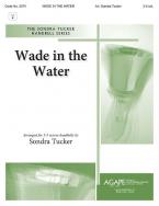 Wade In the Water 