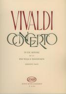 Concerto in sol minore 