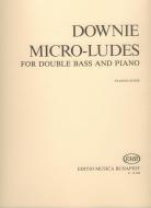 Micro-ludes 