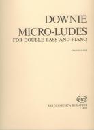 Micro-ludes 