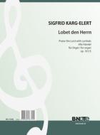 Praise the Lord with Drums and Cymbals (alla Handel) op.101/5 (Arr. organ) 