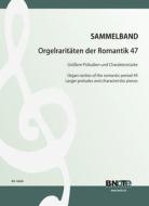 Organ rarities of the romantic period 47: Larger preludes and characteristic pieces 