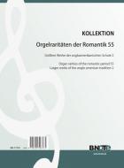 Organ rarities of the romantic period 55: Larger works of the anglo american tradition 2 