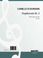 Third organ sonata in c minor op.29 