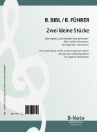 Two short pieces on Haydn's Emperor hymn ((german national anthem) for organ or harmonium 
