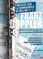 Fantaisie Sur La Somnambule De Bellini Op.42 