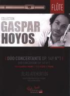 Duo Concertante Op.149 N1 