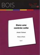 Dans Une Contree Celte 