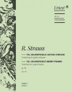 Till Eulenspiegel's Merry Pranks 