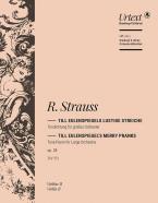 Till Eulenspiegel's Merry Pranks 