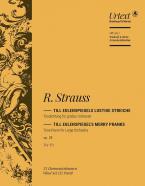 Till Eulenspiegel's Merry Pranks 