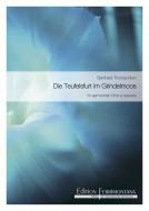 Die Teufelsfurt im Grindelmoos 