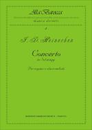 Concerto In Sol 