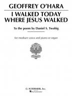 I Walked Today Where Jesus Walked 