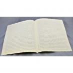 Notenpapier Quart-Format hoch (27x34) 24 Systeme 