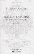 Soir Sur La Plaine 