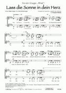 Lass die Sonne in dein Herz 