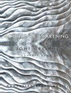 Moonscape Awakening 
