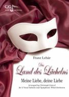 Meine Liebe, deine Liebe 