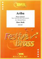 Ariba Standard