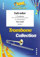 Salvador Standard