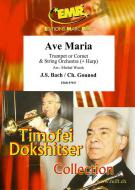 Ave Maria Download